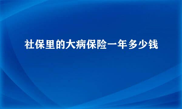 社保里的大病保险一年多少钱