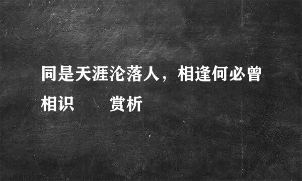 同是天涯沦落人，相逢何必曾相识――赏析