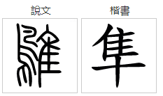 隼字怎么念?