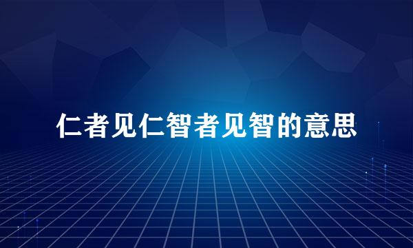 仁者见仁智者见智的意思