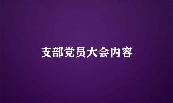 支部党员大会内容