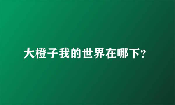 大橙子我的世界在哪下？