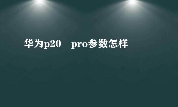 华为p20 pro参数怎样