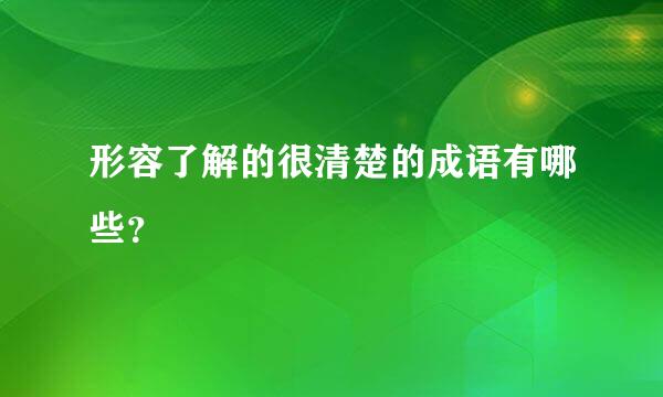 形容了解的很清楚的成语有哪些？