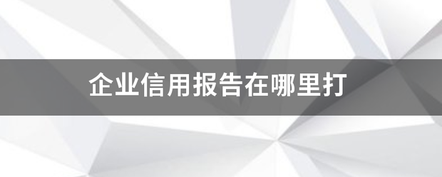 企业信用报告在哪里打