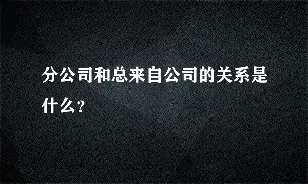 分公司和总来自公司的关系是什么？