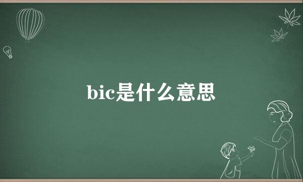 bic是什么意思