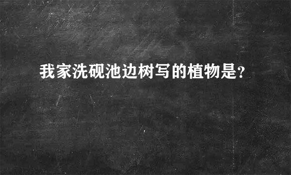 我家洗砚池边树写的植物是？