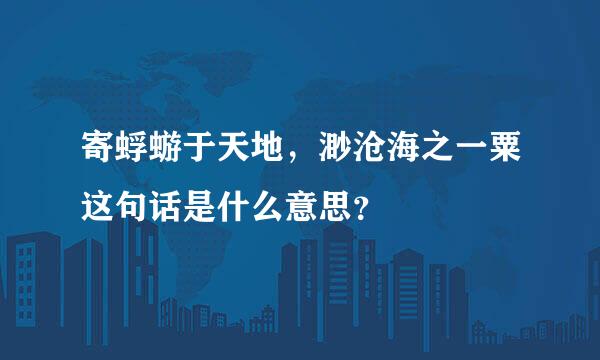 寄蜉蝣于天地，渺沧海之一粟这句话是什么意思？