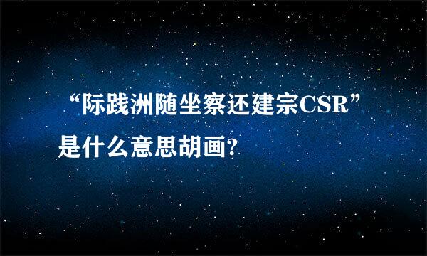 “际践洲随坐察还建宗CSR”是什么意思胡画?