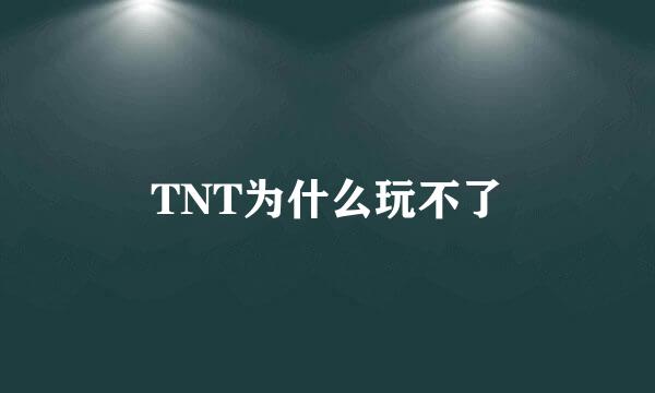 TNT为什么玩不了