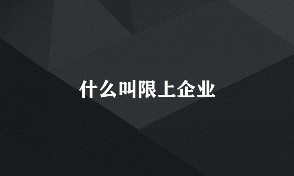 什么叫限上企业