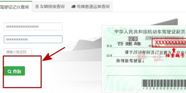 驾驶证吊销查询网站