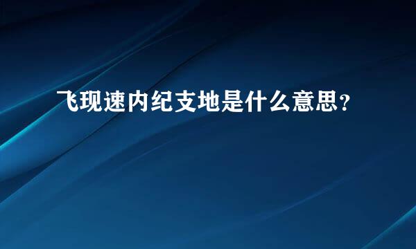 飞现速内纪支地是什么意思？