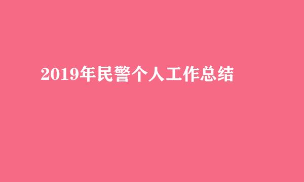 2019年民警个人工作总结