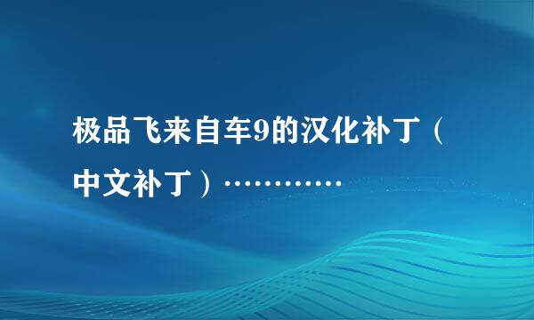 极品飞来自车9的汉化补丁（中文补丁）…………