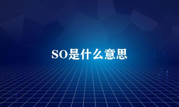 SO是什么意思