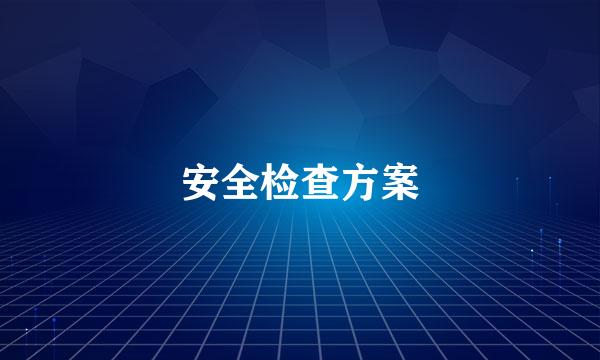 安全检查方案