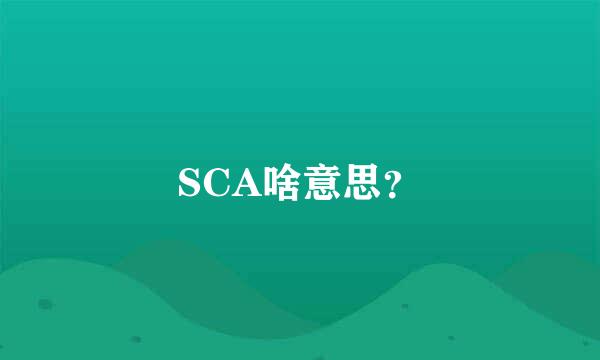 SCA啥意思？