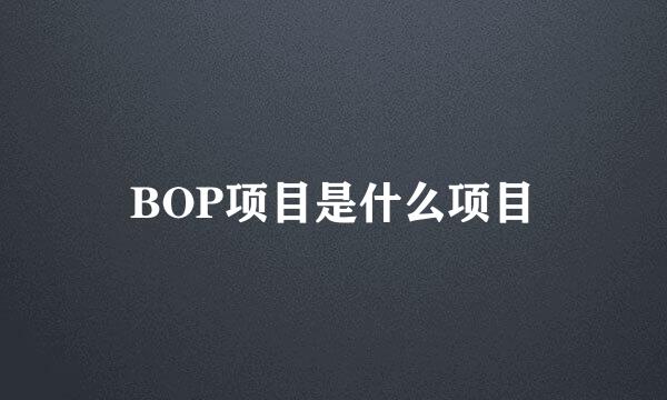 BOP项目是什么项目