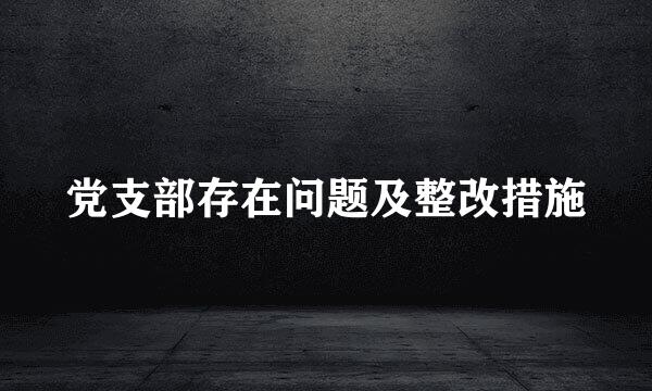 党支部存在问题及整改措施