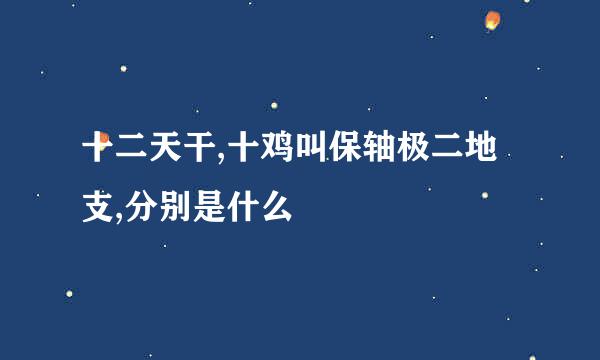 十二天干,十鸡叫保轴极二地支,分别是什么