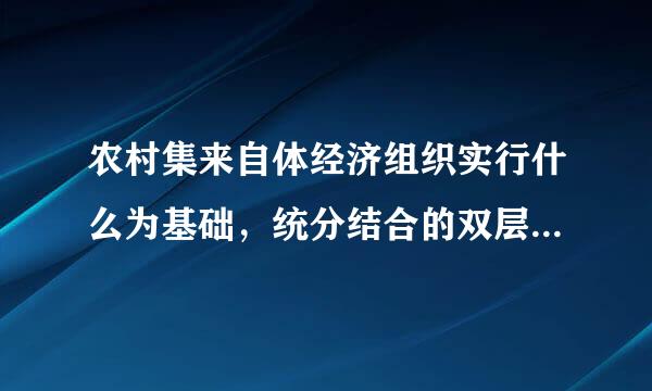 农村集来自体经济组织实行什么为基础，统分结合的双层经营体制