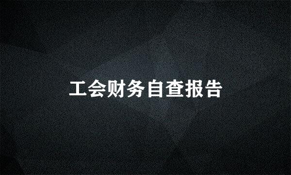 工会财务自查报告