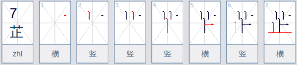 芷在名字中的含义是什么?