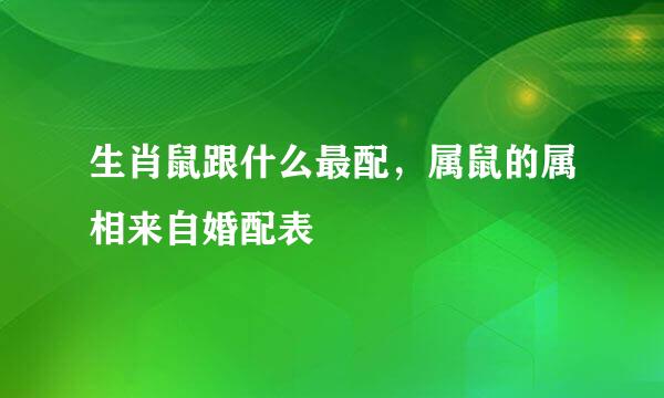 生肖鼠跟什么最配，属鼠的属相来自婚配表