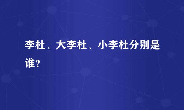 李杜、大李杜、小李杜分别是谁？