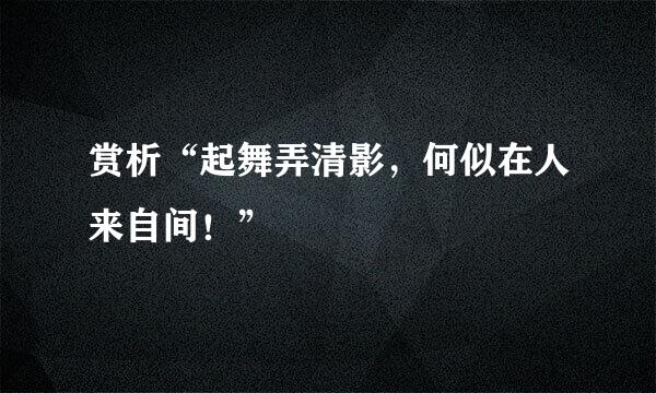 赏析“起舞弄清影，何似在人来自间！”