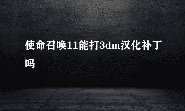 使命召唤11能打3dm汉化补丁吗