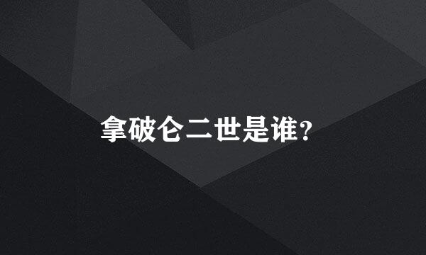 拿破仑二世是谁？