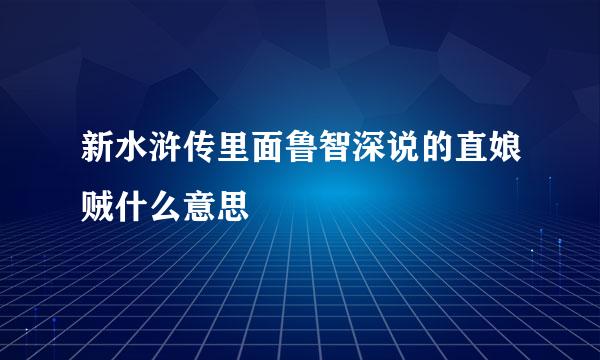 新水浒传里面鲁智深说的直娘贼什么意思