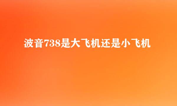 波音738是大飞机还是小飞机