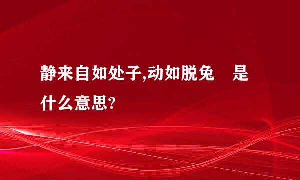 静来自如处子,动如脱兔 是什么意思?