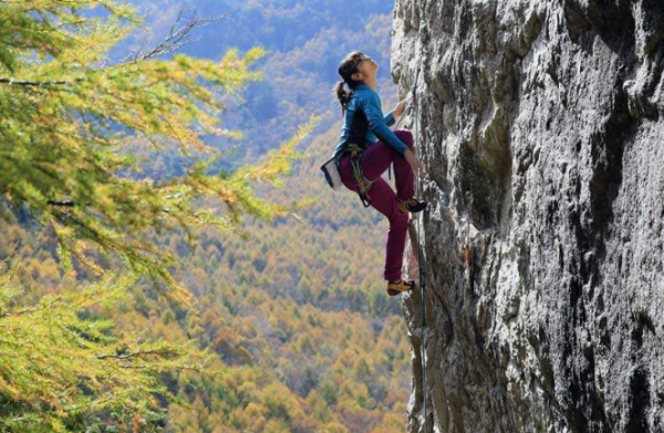 climb是什么意思