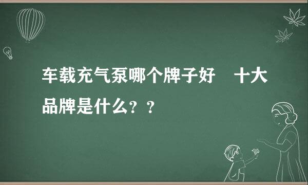 车载充气泵哪个牌子好 十大品牌是什么？？