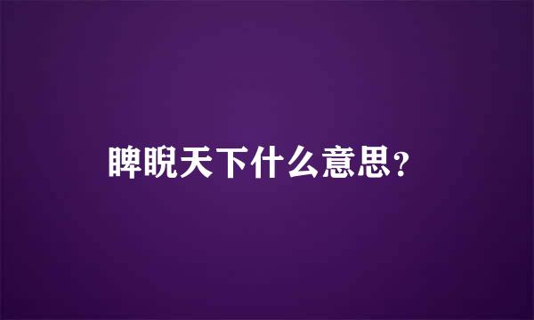 睥睨天下什么意思？