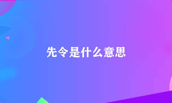 先令是什么意思