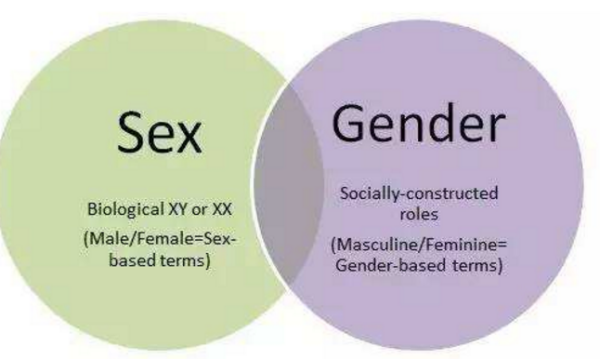 sex 与gender的区别?