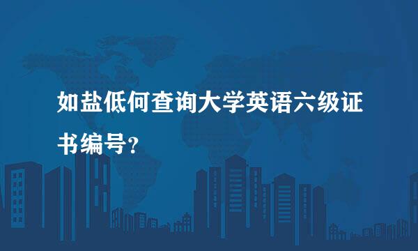 如盐低何查询大学英语六级证书编号？