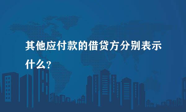 其他应付款的借贷方分别表示什么？