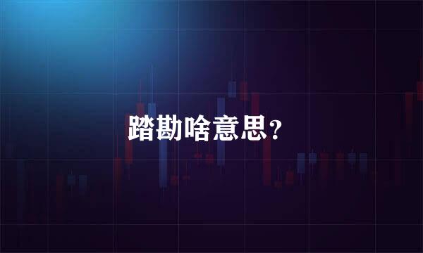 踏勘啥意思？