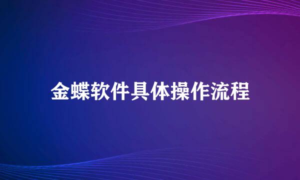 金蝶软件具体操作流程