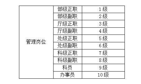 国家电网五级职员是什么级别?