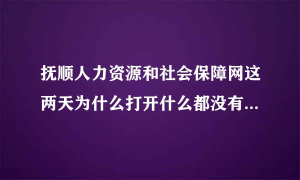 抚顺人力资源和社会保障网这两天为什么打开什么都没有？是因为更新吗？