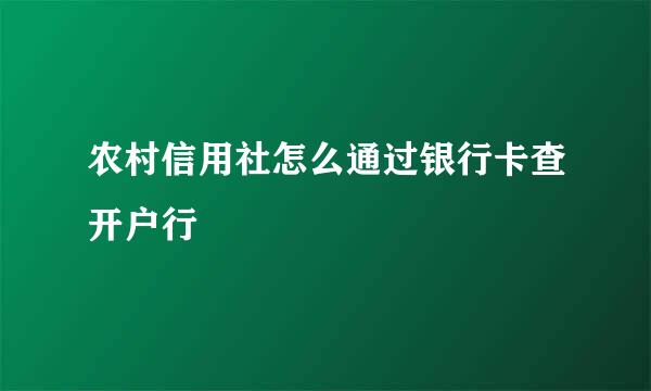 农村信用社怎么通过银行卡查开户行