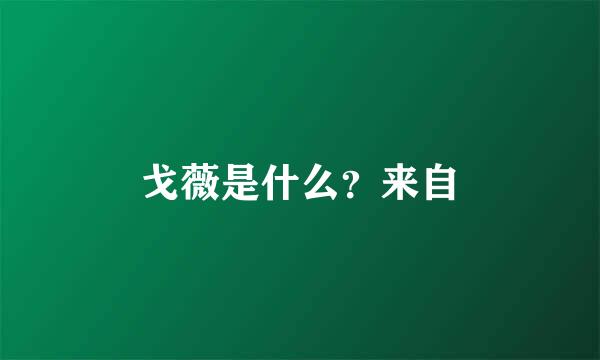 戈薇是什么？来自